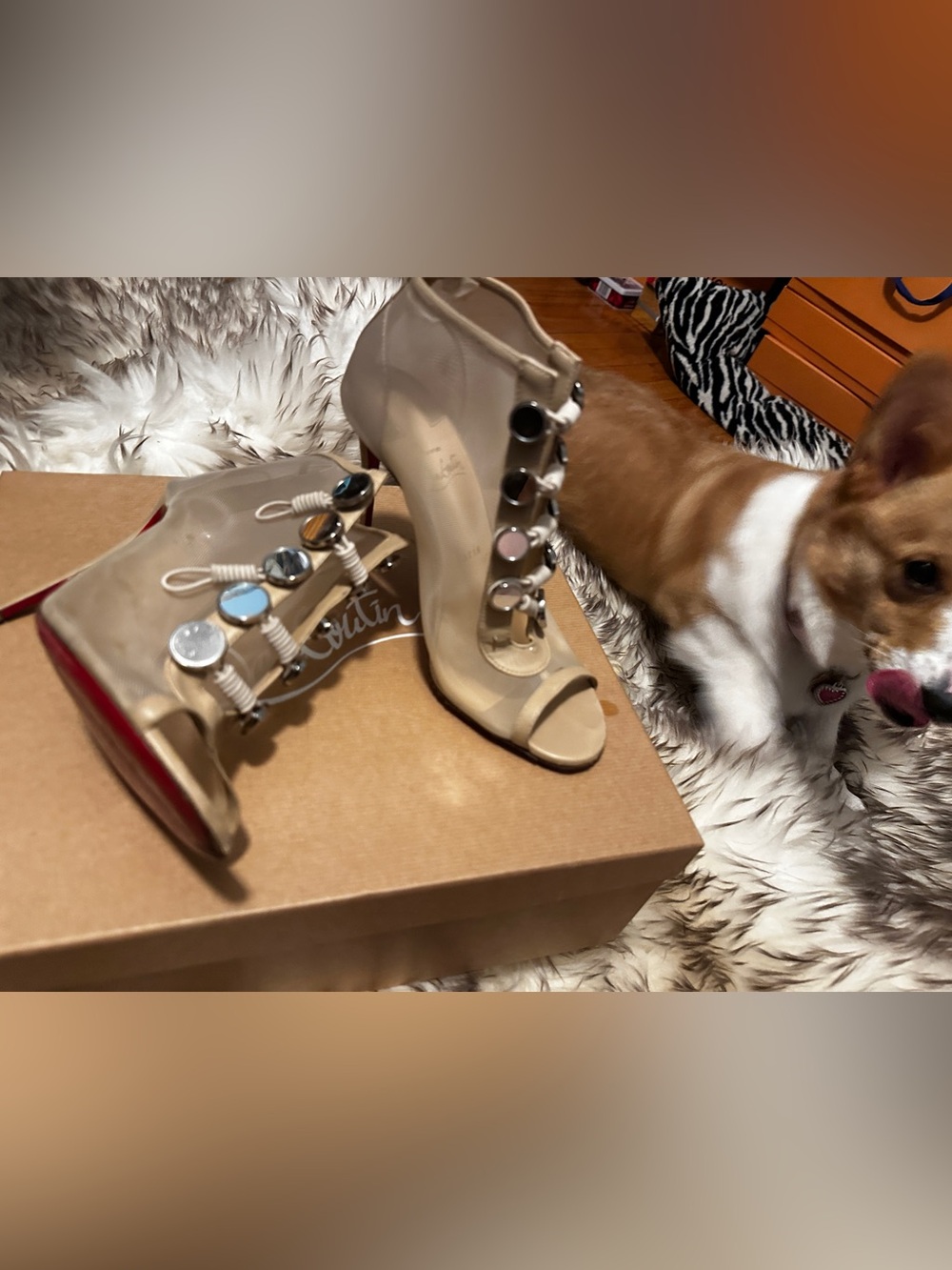 Christian Louboutin Beige Jeweled Open-Toe High Heels ( Corgi not included )